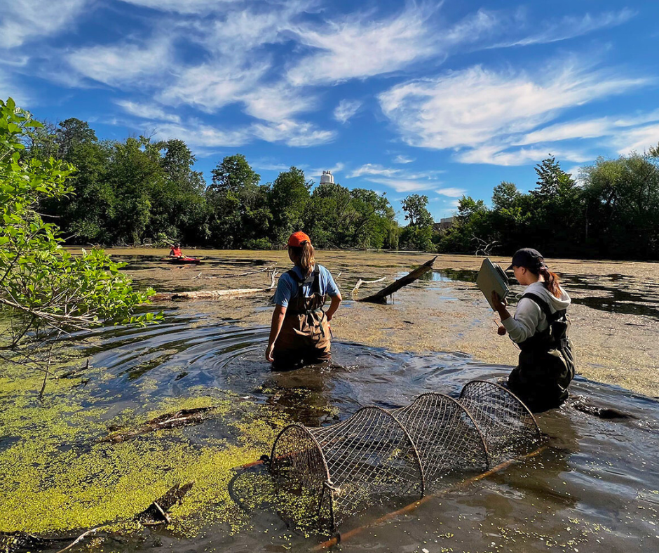 Game Zone Gcash Login